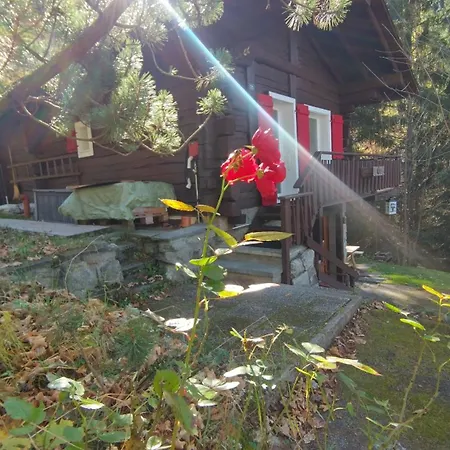 Petit Rustique Et Bucolique Chalet