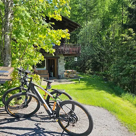 Petit Rustique Et Bucolique Chalet