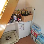 Petit Rustique Et Bucolique Chalet Bovernier